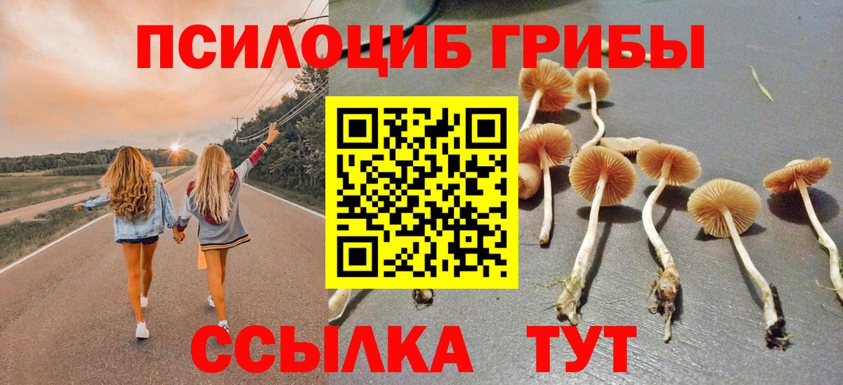 Новокуйбышевск  Галлюциногенные грибы прущие грибы  Вход с VPN 
