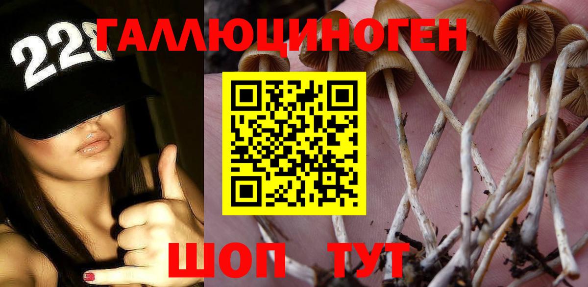 Псилоцибиновые грибы ЛСД Новокуйбышевск